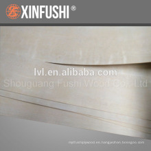 China Contrachapado de abedul para muebles